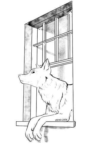 A sketch of a wolf or large dog sitting on a windowsil
