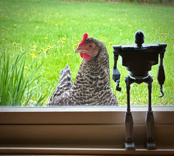 chicken looking in the window where there’s a small 3d printed Iron Giant figurines
