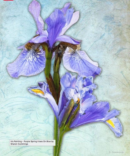 Purple iris flowers with a textured light blue background by artist and poet Sharon Cummings.  Haiku in post.