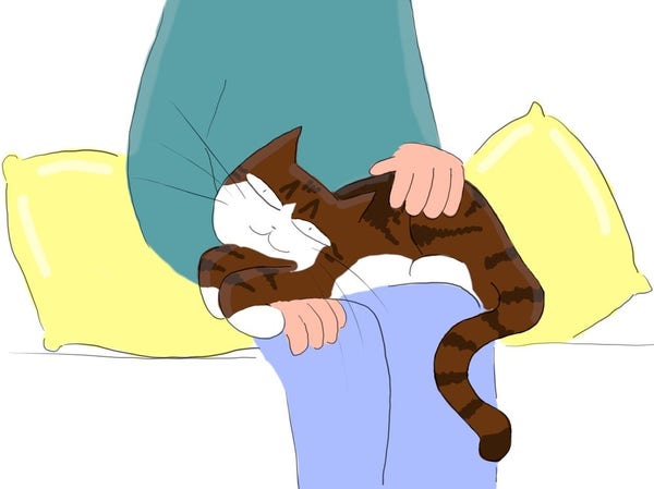 A cartoon of tabby and white cat happily curled up in a person's lap. There are yellow cushions either side of them.