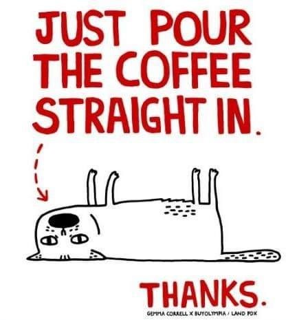 Meme is a cartoon drawing of a cat, belly up with stiff legs and tail. 
It reads, "Just pour the coffee straight in. Thanks."
With a red arrow pointing towards the stiff cats mouth.