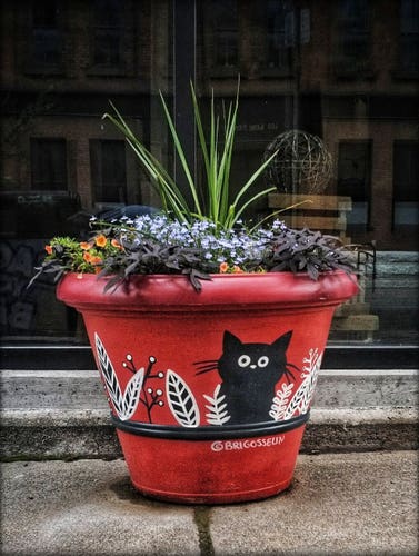 A large red ceramic planter sits on the sidewalk in front of a glass windowed building. The planter is painted with a black cat and mixed black and white foliage, small plants have just recently been planted. The reflection of the surrounding street can be seen in the large window.