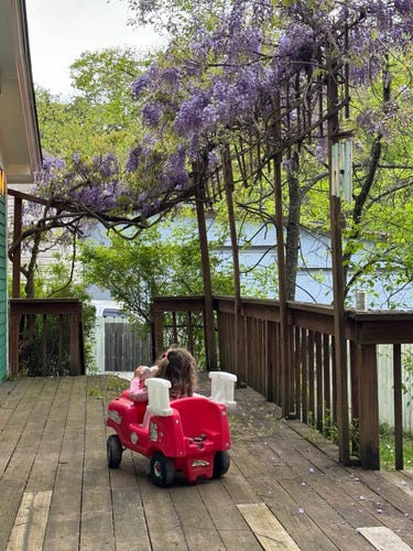 A photo of my deck covered in wisteria. My daughter is driving a fire truck across it 