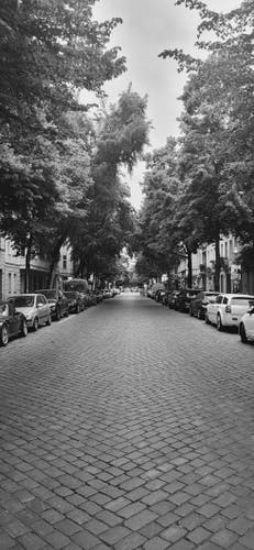 Black and white photo of a street in Berlin,  Germany. Image shows a cobbled road lined with leafy trees. Each side of the road are parked cars.