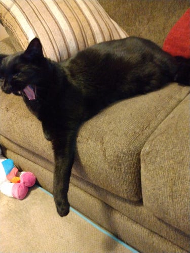 A big black cat is lying on a tan loveseat.  His mouth is wide open, revealing his fangs and little pink tongue.  One of his forelegs is hanging over the edge of the loveseat.