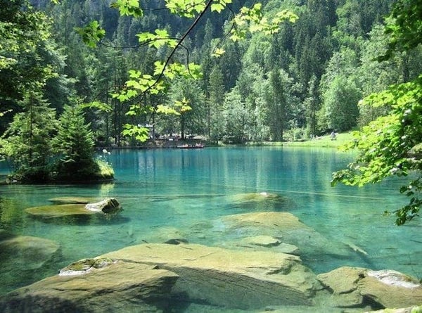 Un lac entouré d'arbres.
Blausee, lac situé dans l'Oberland bernois