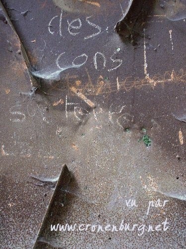 Photo of a part of a rusty iron door with cobwebs. Someone wrote on it with chalk: des cons sur terre. It's French for "assholes on Earth".