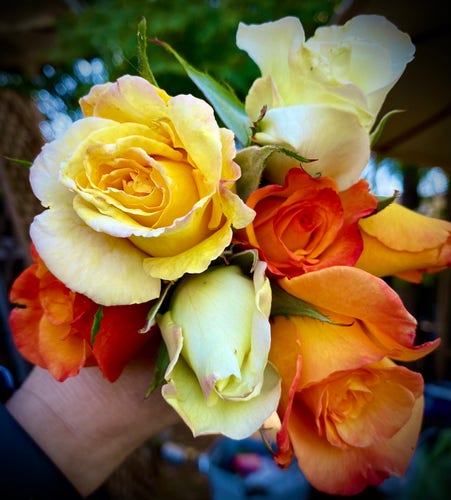 yellow and orange with red and orange roses I picked out of the yard for my mom

gelb und orange mit roten und orangen Rosen, die ich aus dem Garten für meine Mutter gepflückt habe