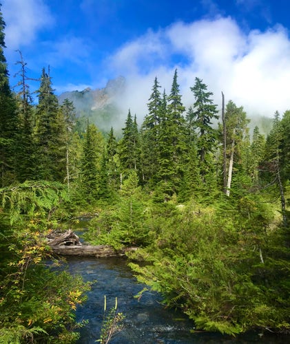 A small mountain stream flows through thick green trees.  In the background are rocky peaks partially covered with white clouds.  Near Cooper Lake in the Central Cascades, September. 