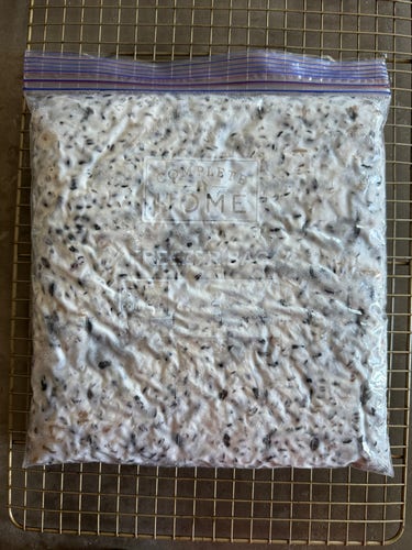 A feeezer bag full of tempeh. It’s a big white slab with little nubs of bean and grain visible. 