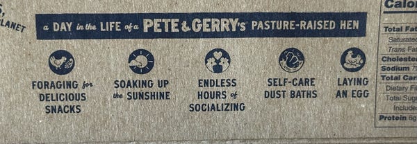 A day in the life of a pete & gerry’s hen: delicious snacks, sunshine, socializing, dust bath, egg