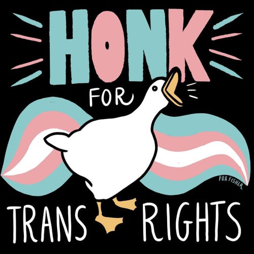 “Honk for trans rights” surrounds an illustration of a honking goose in front of a wavy trans flag background