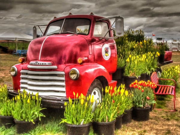 The Red Tulip Truck! Purchase options: https://1-thom-zehrfeld.pixels.com/featured/the-red-tulip-truck-thom-zehrfeld.html  #BuyIntoArt #Art #ThomZehrfeldPhotography #PhotographyIsArt #Photography #Fotografie
#ArtForSale #ArtMatters #MastoArt #Mastodon #ArtforInteriorDesign #HospitalityInteriors 
#InteriorDesign #Wallart #InteriorDecorating #WallArtForSale #PhotoOfTheDay #FediGiftShop  #GiftIdeas #FediArt #Prints #FediArtShop #Colorful #Nature #WoodenShoeTulipFarm #Tulips #Floral #Flowers #VintageTruck #Chevrolet #Chevy #Truck #OldTruck #floralart