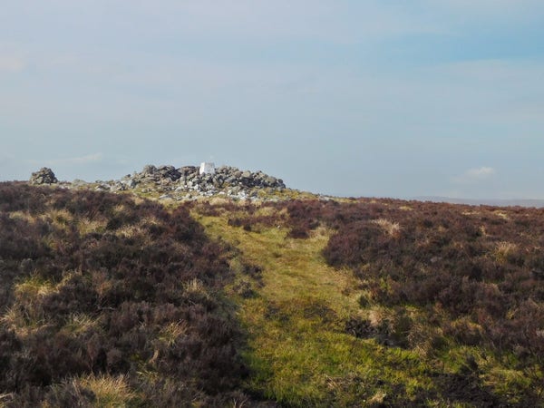 Colour photograph of a white trig point, built inside a circle of stones. A grassy path runs between heather towards it. Blue sky overhead.