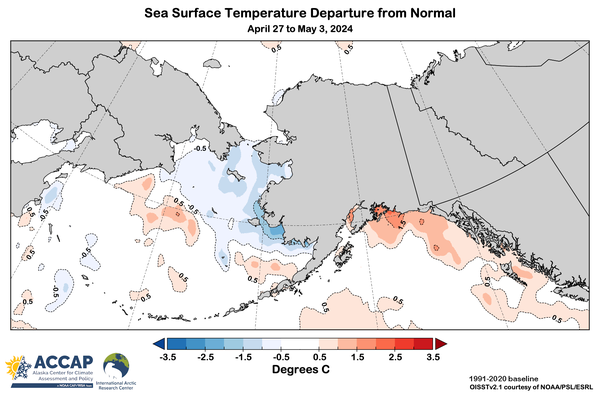 Map centered on Alaska showing the sea surface temperature departures from average (ºC) for the week ending May 3, 2024. 