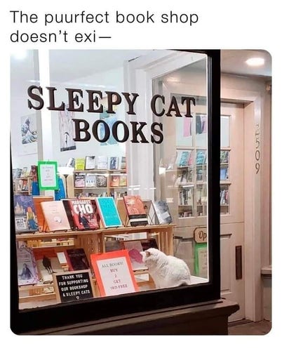 The puurfect book shop doesn’t exi— 

Picture of a book shop window:
"Sleepy Cat Books"