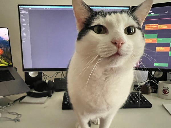 Black and white cat looking close at the camera. It is standing on a white desk. In the background a laptop and two monitors can be seen displaying blury text. On the desk is a black keyboard, a white coffee cup with a Mozilla logo. Speakers can be seen behind the monitors.