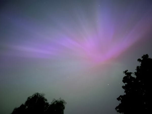the night sky, you can see the dark silhouettes of two trees at the bottom of the frame, and a prism like pink streak across the sky 
