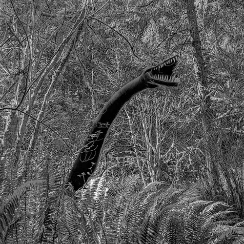 Deep in the old woods, ferns and slender alder crowd around a hidden spring where the black beast quenches it's thirst. It rears it's serpentine neck and howls into the night as prey approaches