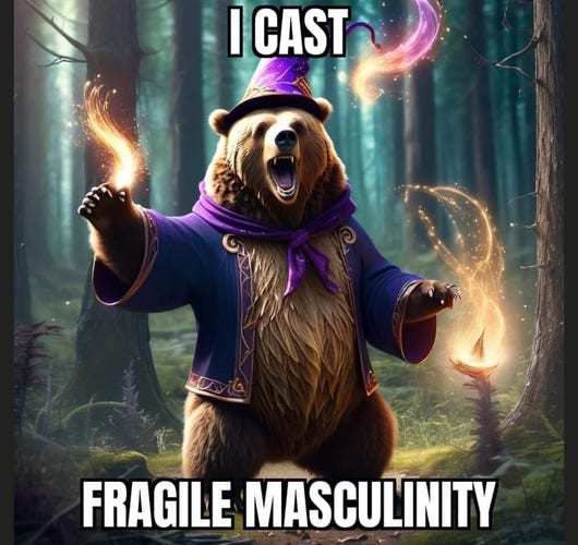 Bear Wizard in the Forest: "I cast Fragile Masculinity"