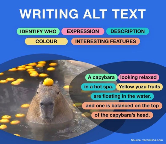 An infographic titled “How To Write Alt Text” featuring a photo of a capybara. Parts of alt text are divided by color, including identify who, expression, description, colour, and interesting features. The finished description reads “A capybara looking relaxed in a hot spa. Yellow yuzu fruits are floating in the water, and one is balanced on the top of the capybara’s head.”