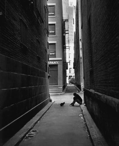 Photography. A black and white photo of a man and a cat between the fronts of houses. The photo shows a dark alley in New York. A middle-aged man is sitting at the edge of the alley just before a light-colored intersection. He is wearing a black suit and hat and is looking at a black cat sitting directly in front of him. The New York skyline can be seen in the distance.