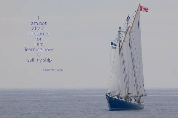  "I am not afraid of storms, for I am learning how to sail my ship" - Louisa May Alcott.

What a wonderfully inspirational or motivational quote from Louisa May Alcott! A reminder that we all sail through stormy seas or times to make it to shore, or calm waters. We all grow or learn from our turbulent times, and we so appreciate the calm or peace after a storm!

A wonderful quote to pair with the iconic sailing schooner or tall ship Bluenose II.

An exact replica of the famous racing schooner featured on the Canadian dime, she is a goodwill ambassador for Nova Scotia and Canada.

The original Bluenose struck a reef and sank in 1946 in the Caribbean. The Bluenose II was built in 1963 by many of the same people who built the original ship. Her home port is the UNESCO World Heritage town of Lunenburg, located on the south shore of Nova Scotia.

Here you see the famous schooner in full sail as she takes part in Operation Bluenose in St. Margaret's Bay, near the famous Peggy's Cove Lighthouse.