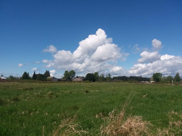 Big puffy cumulus clouds in a deep blue sky. They are floating over fields in early spring.