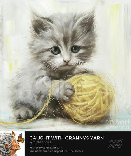 This is an adorable little  gray kitten who has the look of getting caught playing with ganny's big ball of yellow yarn. 