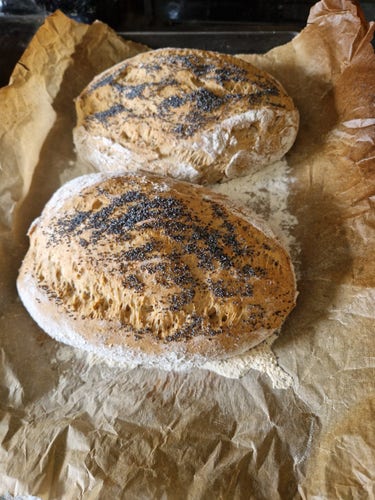 2 freshly baked poppy seed loaves.