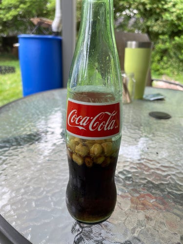 Glass bottle of Mexican coke sitting on a glass table looking like it came out of an ad with water droplets coasting down the side. Inside are corn nuts floating around like butts in an old ashtray.