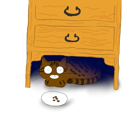 A cartoon of a tabby cat sitting underneath a dresser, looking very nervous, with a plate of snacks in front of it.