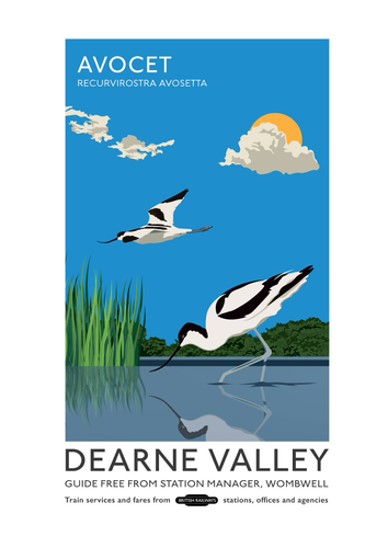 Poster for Deane Valley nature reserve depicting an avocet among the reeds with another in flight above 