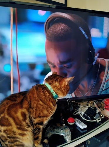 Photo of Bengal cat leaning in towards a TV showing Dr Who. It looks like she's kissing Ncuti Gatwa, who is in close up on a space ship.