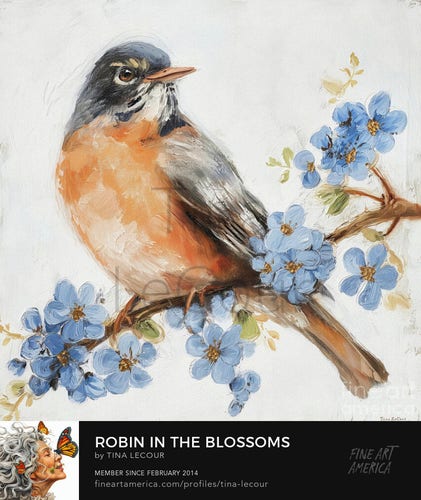 This is a painting of an American Robin Bird perched on a branch with some pretty blossom flowers and white background.  