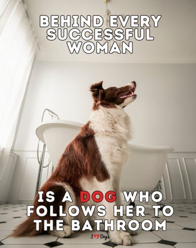 "Behind every successful woman is a dog who follows her to the bathroom" says the text to the photo of a dog in the bathroom next to a bathtub.