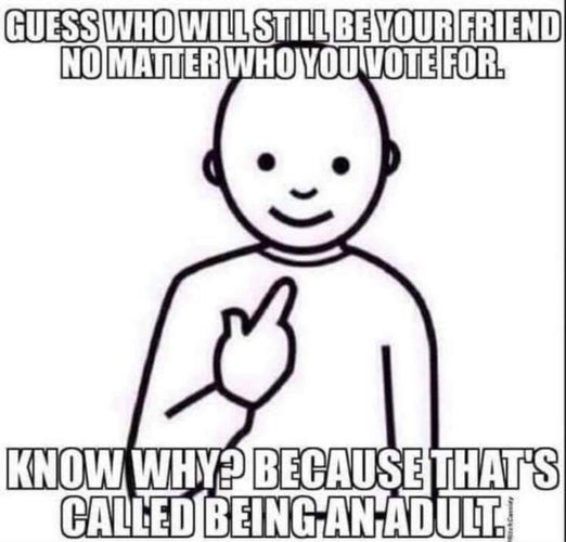 Meme showing a smiling, cartoonish person pointing at themselves. Caption reads: “Guess who will still be your friend no matter who you vote for…Know why? Because that’s called being an adult.”