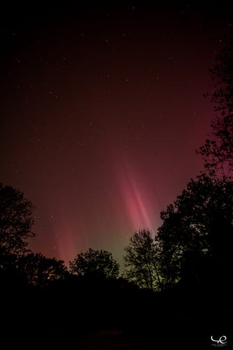 Photo verticale d’une aurore boréale au-dessus d’une forêt. 
Un halo vert est visible derrière les arbres, et une luminosité pourpre est au-dessus, avec deux longues trainées plus intenses