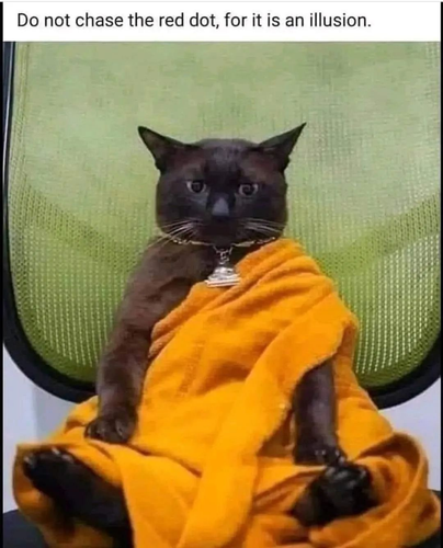 Black cat positioned in a Buddhist pose.

copy: "Do not chase the red dot, for it is an illusion."