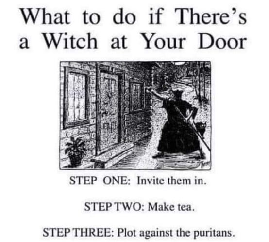 What to do if There’s a Witch at Your Door STEP ONE: Invite them in.

STEP TWO: Make tea.

STEP THREE: Plot against the puritans. 

Black and white illustration of a witch banging on a door. She's wearing a cap and carrying a rod. 