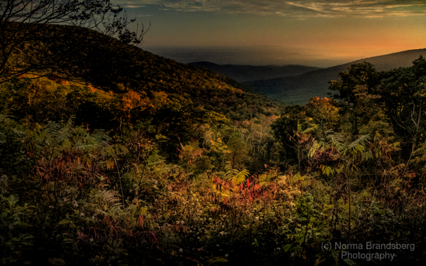 Blue Ridge Mountains Layers of Autumn, available here:

https://www.pictorem.com/879884/Blue%20Ridge%20Layers%20of%20Autumn.html