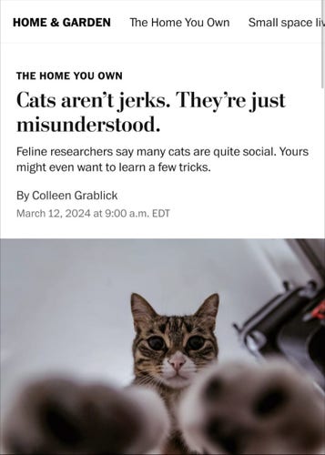 A Washington Post article titled:

Cats Aren't Jerks, Just Misunderstood 