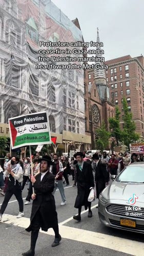 Orthodox Jews in typical outfit participating in a protest march for a ceasefire in Gaza. The first of the Hasidim carrying a panel with a Palestinian flag with the inscription "Free Palestine".