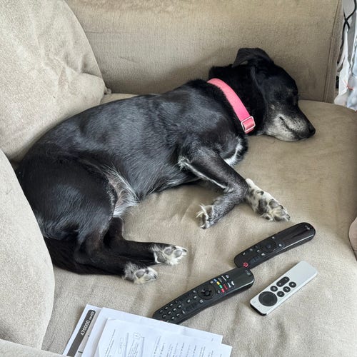 A medium black dog lays sleeping on her side in a comfy chair. By her feet there are three remotes and a manual