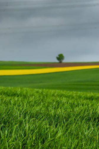 Foto einer Landschaft mit Feldern unter dunklem Himmel