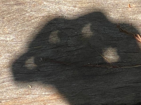 A shadow on weathered wood, with four light spots showing a bite taken out of the Sun’s image