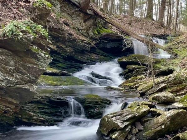A cascading waterfall over mossy rocks with surrounding woodland. Connecticut, US