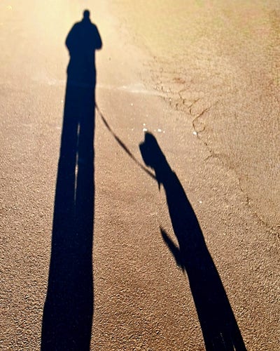 A silhouette of a person and a dog walking side by side, with the dog looking across at the person.