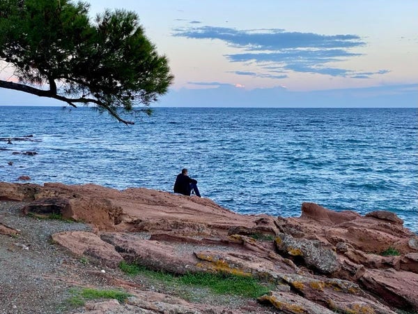 Person sitting on a rocky shore next to a pine tree overlooking the sea at dusk.