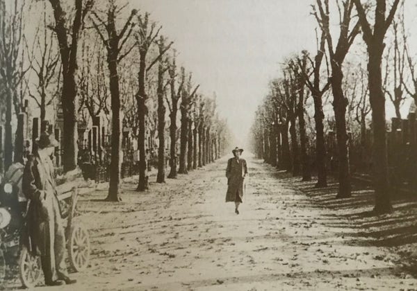 Woman walking towards a man through an arcade of trees
